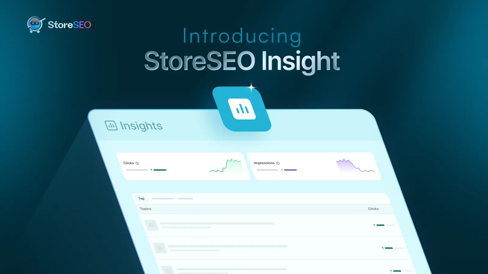 StoreSEO Insights