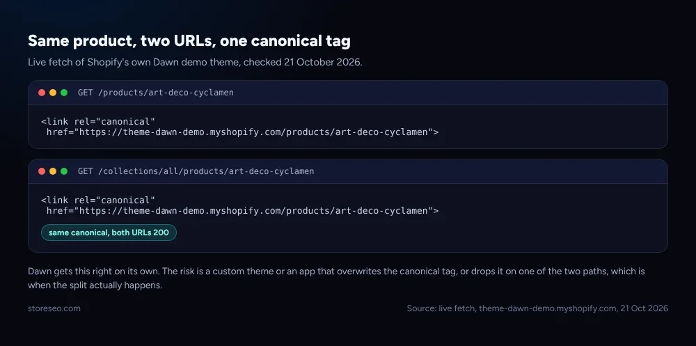 Same product, two URLs, one canonical tag, a live code window from Shopify's Dawn demo theme