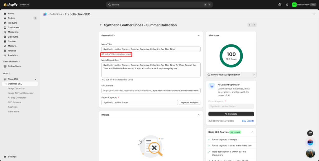 如何使用 StoreSEO 优化 Shopify 收藏页面? 10 How To Optimize Shopify Collection Page With StoreSEO?