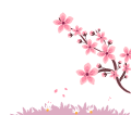 NxBar: Spring Sale 2025